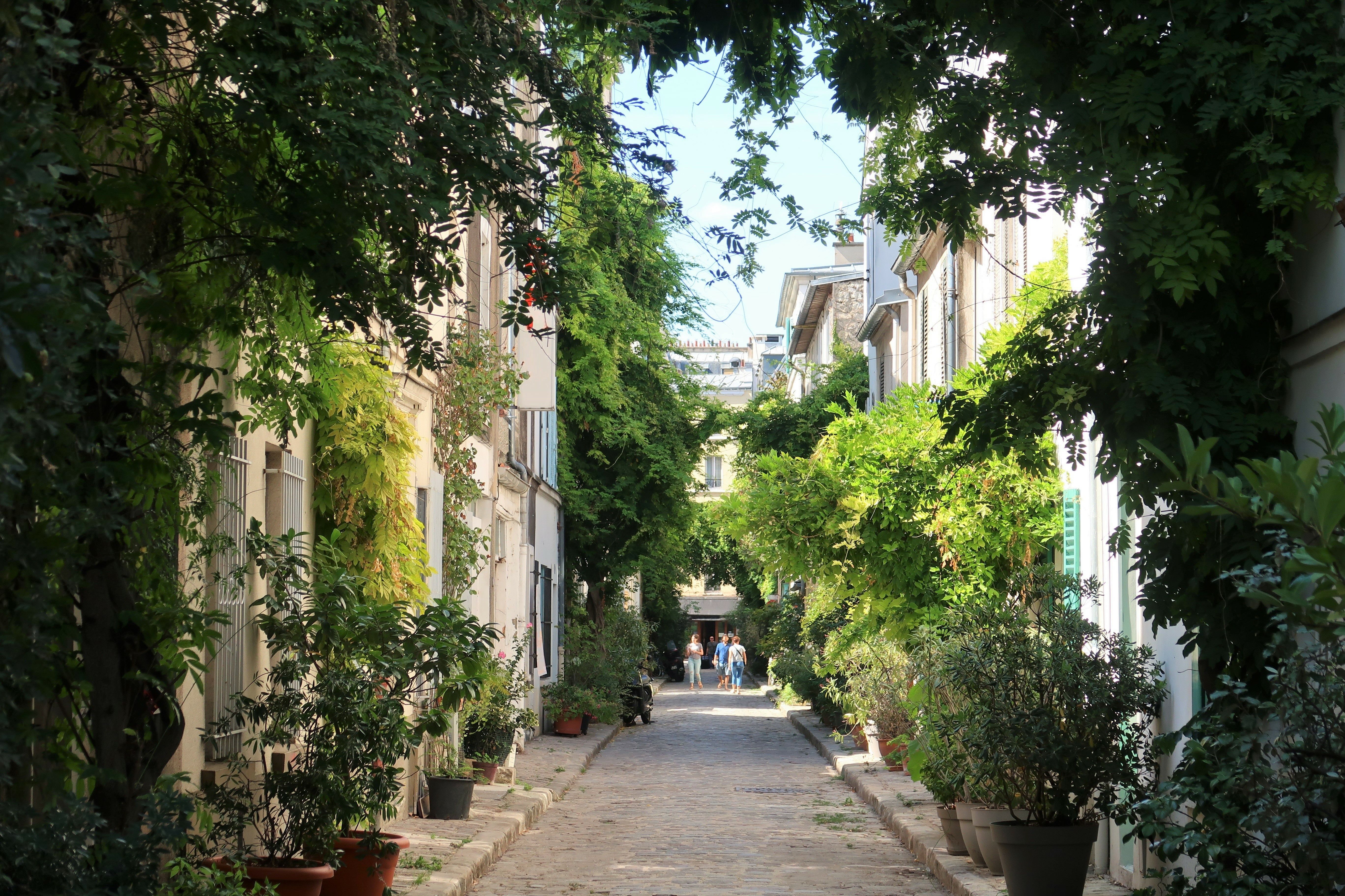 Hôtel Sophie Germain - Rue des Thermopyles