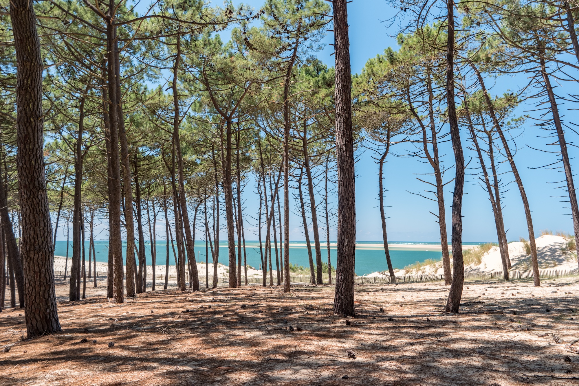 Le Bassin d’Arcachon